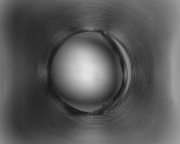 X0000090720256200707201354