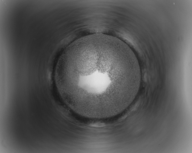 X0000090720258200707201354