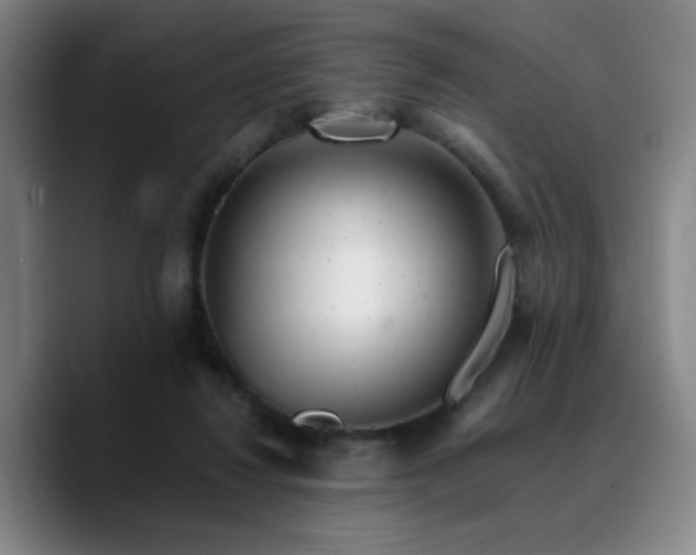 X0000090720260200707201354