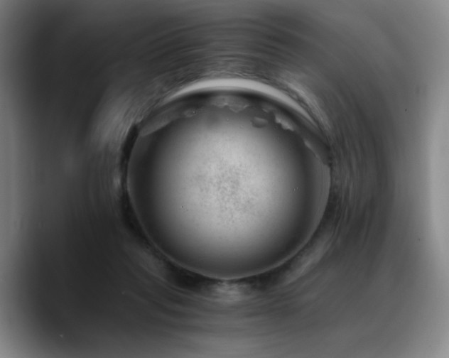 X0000090720261200707201354