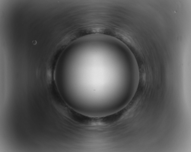 X0000090720262200707201354