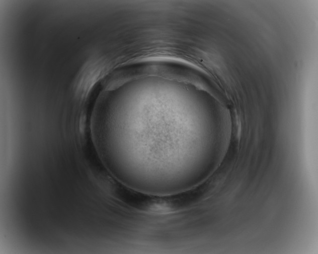 X0000090720263200707201354