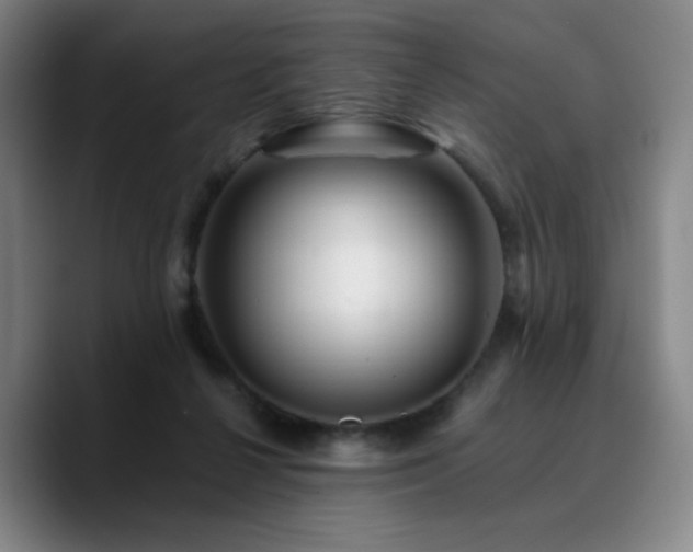 X0000090720264200707201354
