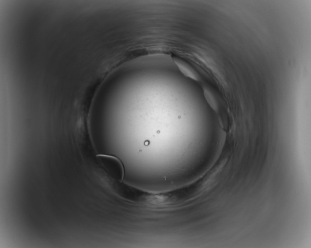 X0000090720265200707201354