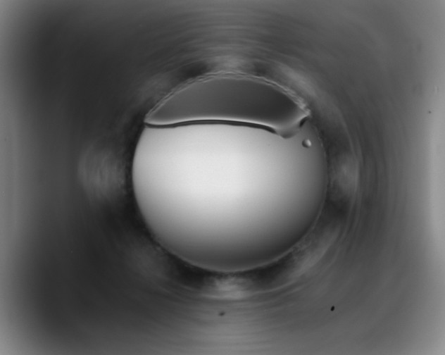 X0000090720268200707201354