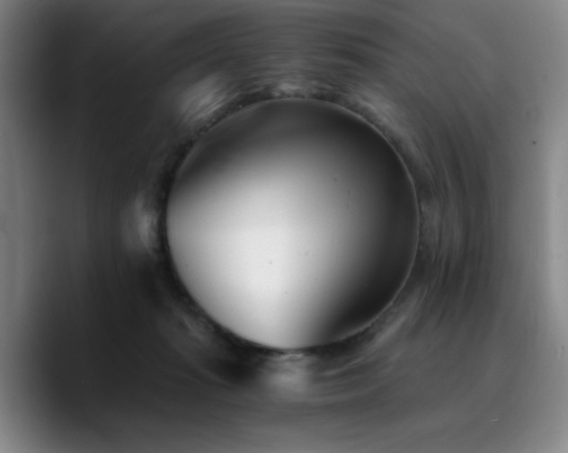 X0000090720269200707201354