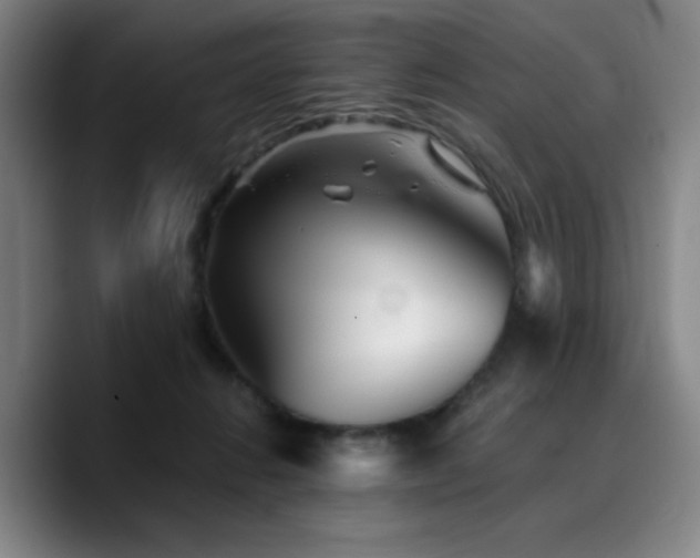 X0000090720270200707201354
