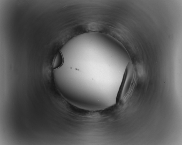 X0000090720271200707201354