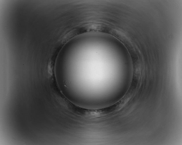 X0000090720282200707201354