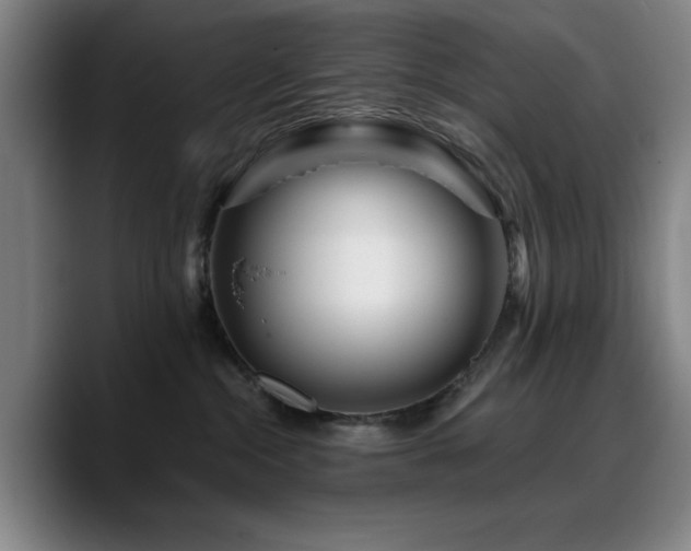 X0000090720284200707201354