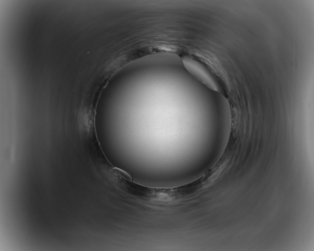 X0000090720285200707201354