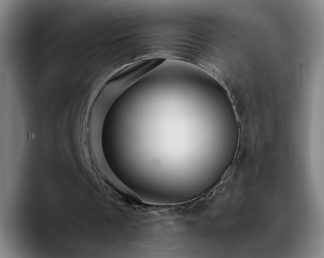 X0000090720289200707201354