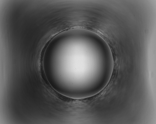 X0000090720290200707201354