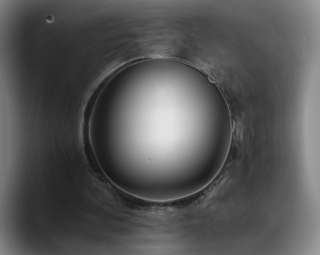 X0000090720292200707201354