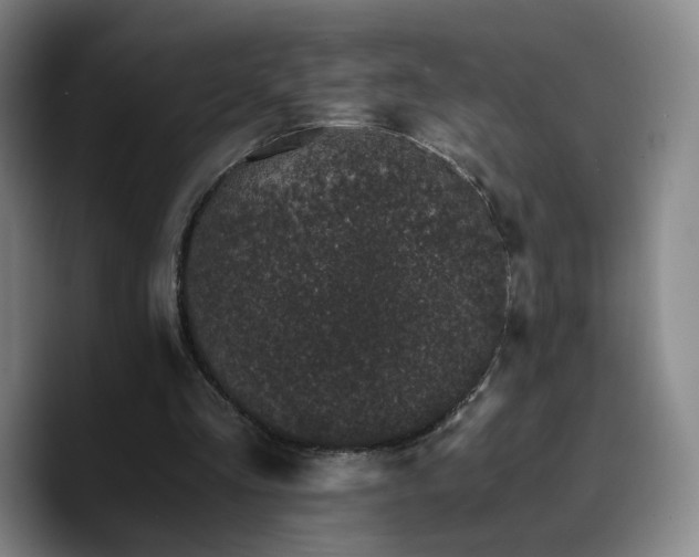 X0000090720293200707201354