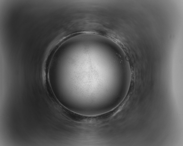 X0000090720294200707201354