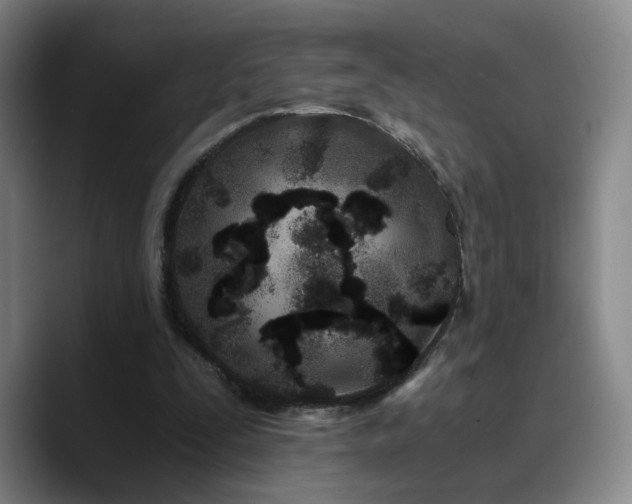 X0000090720295200707201354