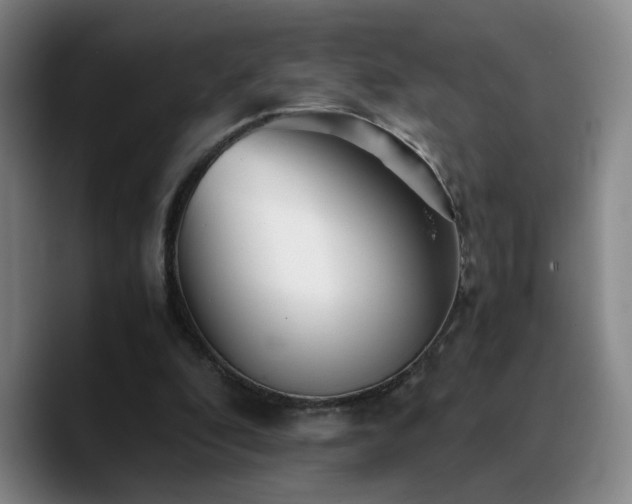 X0000090720296200707201354