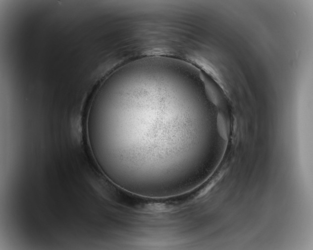 X0000090720298200707201354