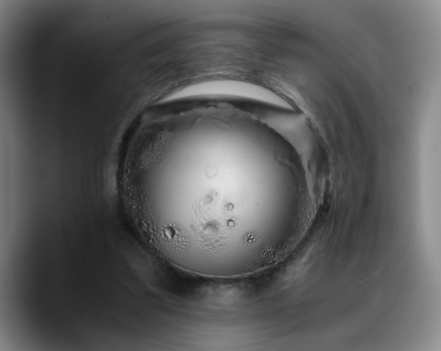 X0000090720299200707201354