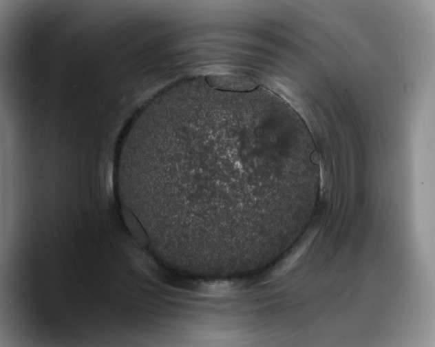 X0000090720301200707201354