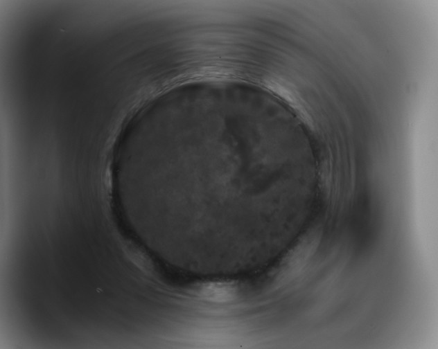 X0000090720303200707201354