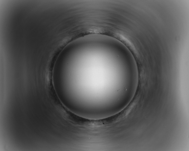 X0000090720305200707201354
