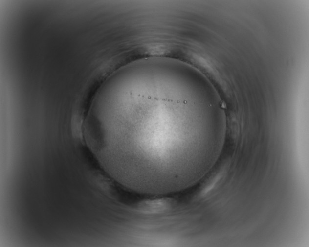 X0000090720307200707201354