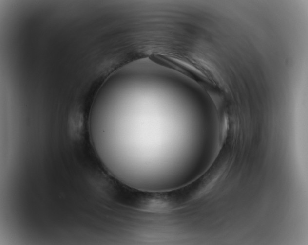 X0000090720308200707201354