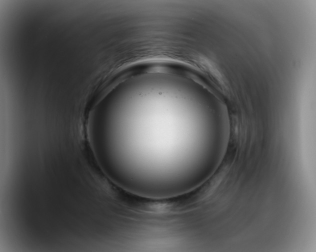 X0000090720313200707201353
