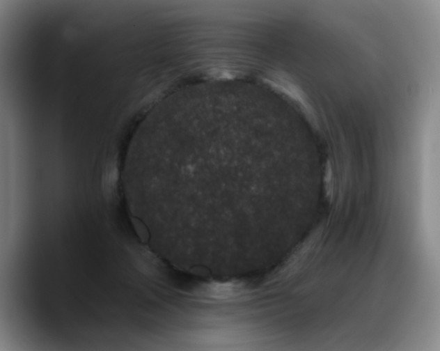 X0000090720314200707201353