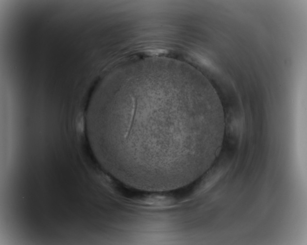 X0000090720315200707201353