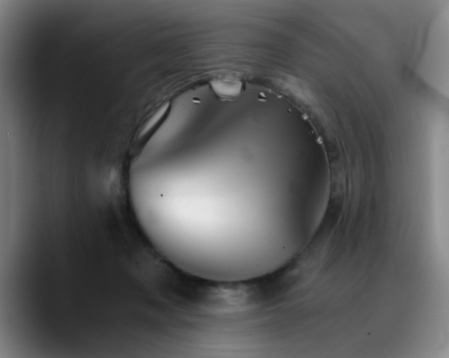 X0000090720317200707201353