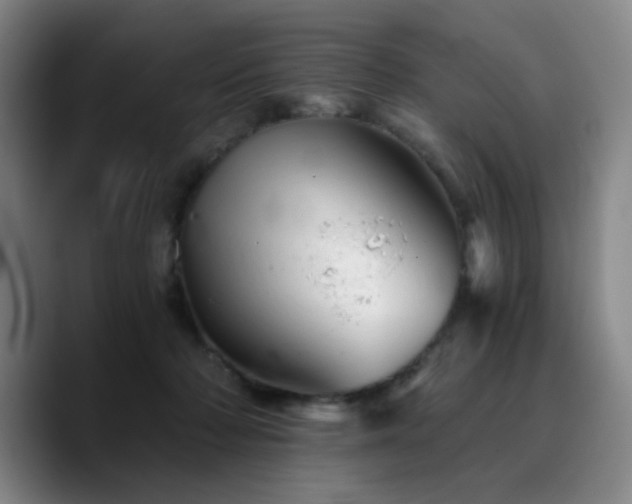 X0000090720318200707201353