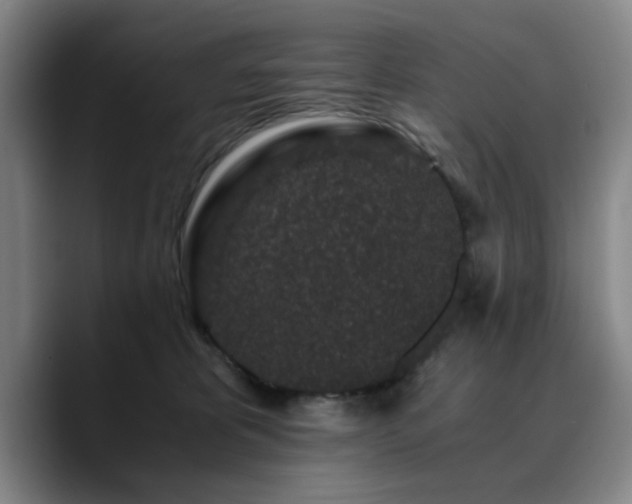 X0000090720325200707201353