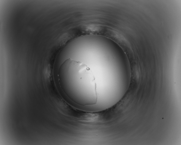 X0000090720328200707201353