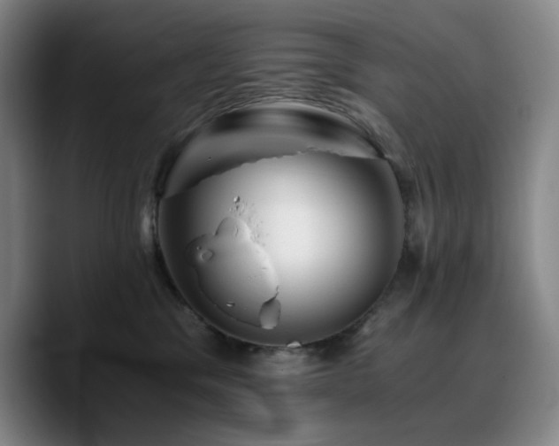 X0000090720329200707201353