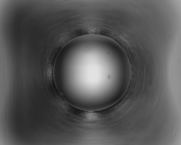 X0000090720336200707201353