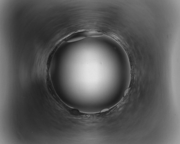 X0000090720338200707201353