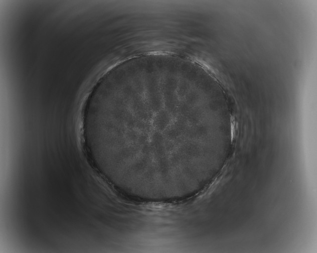 X0000090720339200707201353
