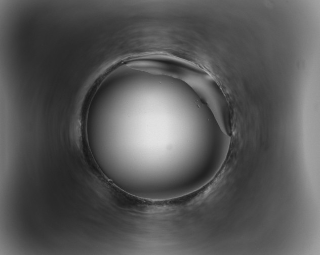 X0000090720342200707201353