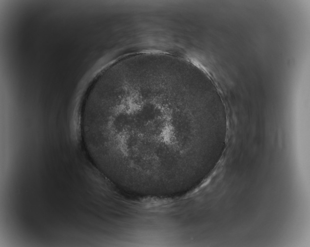 X0000090720343200707201353