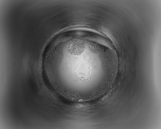 X0000090720346200707201353