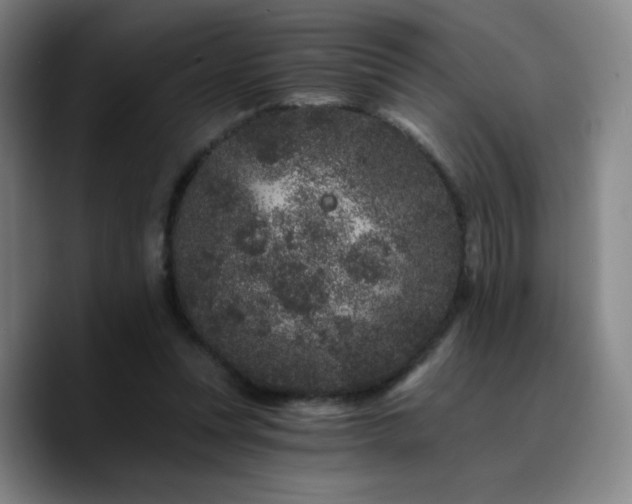 X0000090720351200707201353