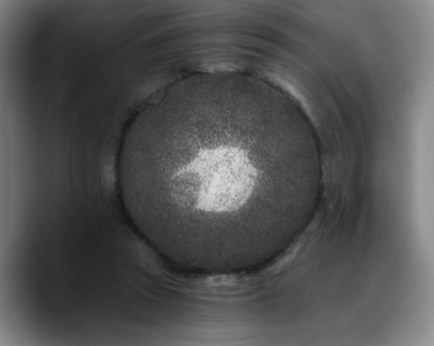 X0000090720353200707201353