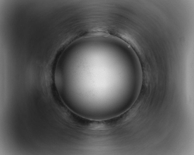 X0000090720354200707201353