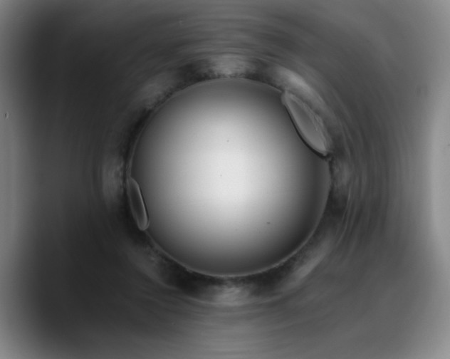 X0000090720356200707201353