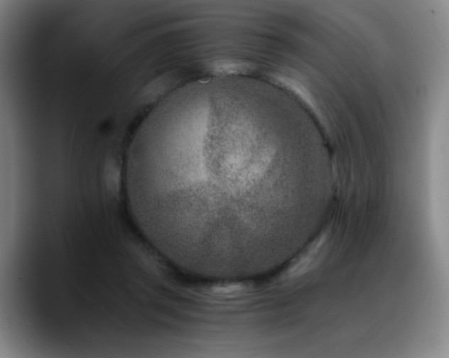 X0000090720357200707201353