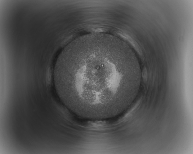 X0000090720359200707201353
