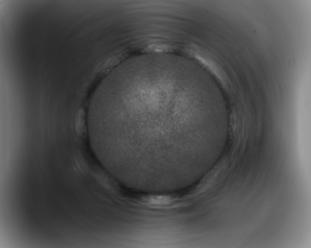 X0000090720361200707201353